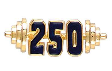 Barbell 250 Specialty Pin, Gold