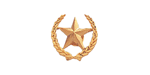 Star Pin, Gold