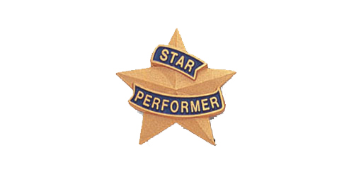 Star Performer Pin, Gold