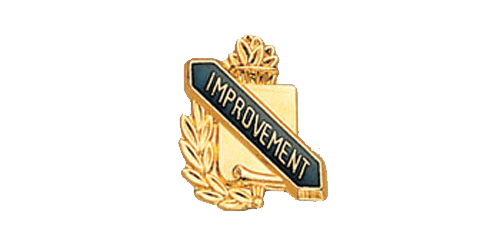 Improvement Scroll Shape Pin, Gold