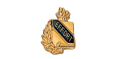 Effort Scroll Shape Pin, Gold