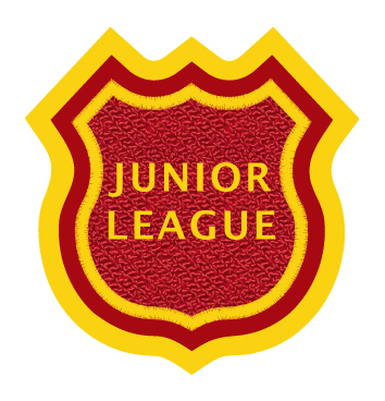6 Point Shield Shape Patch 3