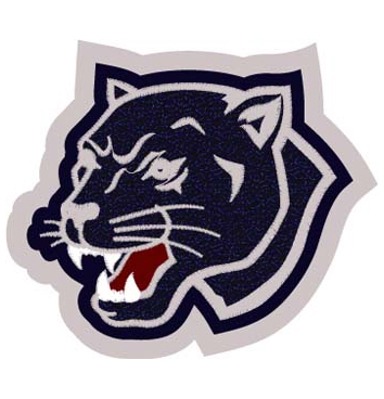 Panther Patch 6