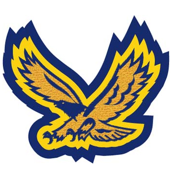 Eagle In Flight Patch 4