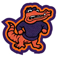 Alligator Patch 6