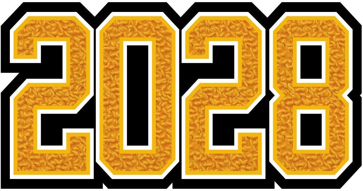 Grad Year Patch 2028, 4