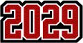 Grad Year Patch 2029, 3