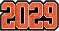 Grad Year Patch 2029, 4