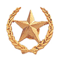 Star Pin, Gold