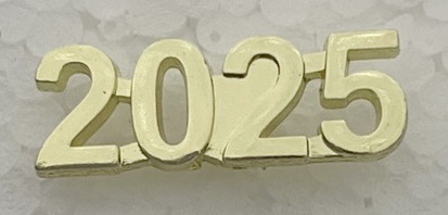 2025 Metal Insert, Gold - Box of 25