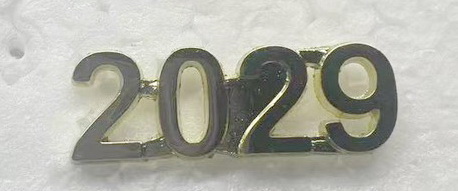 2029 Metal Insert, Gold - Box of 25