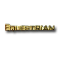 Equestrian Metal Insert, Gold - Box of 25