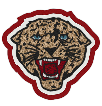 Leopard Patch 4