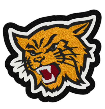 Wildcat Patch 4