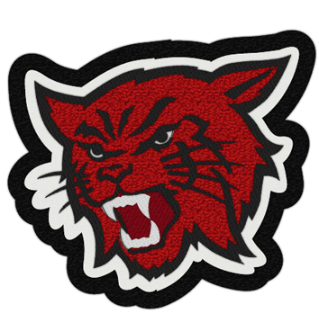 Wildcat Patch 6