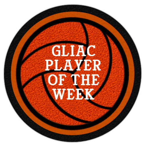 Volleyball Champion Patch 5