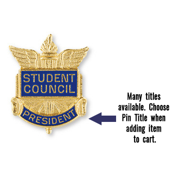 SCHOOL CLASS OFFICER Pins/Choice of 4/Lots of 5/ALL NEW 