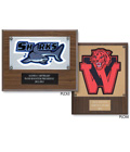 Chenille Award Plaques