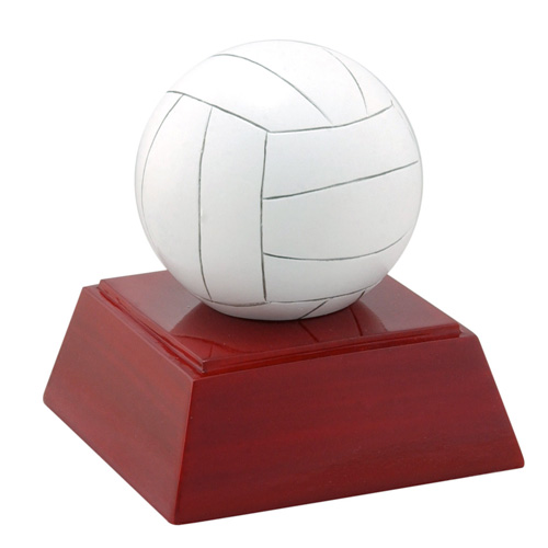 Volleyball Trophy